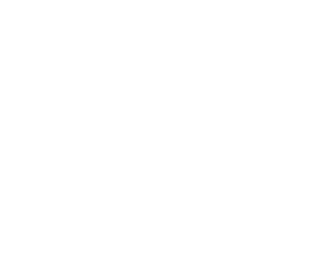 25A1ME-DC NE CL (Pine Tree) - Lee Joseph RUSH_white